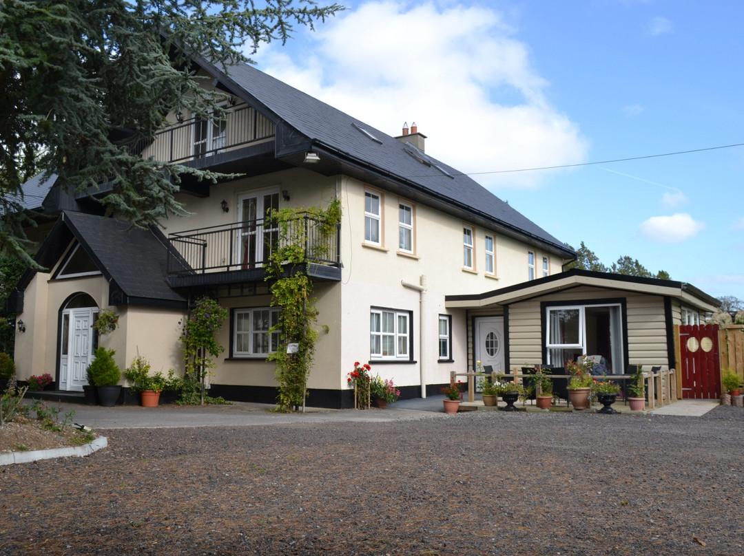 Castletown Geoghegan酒店住宿-Cedarwood House B & B