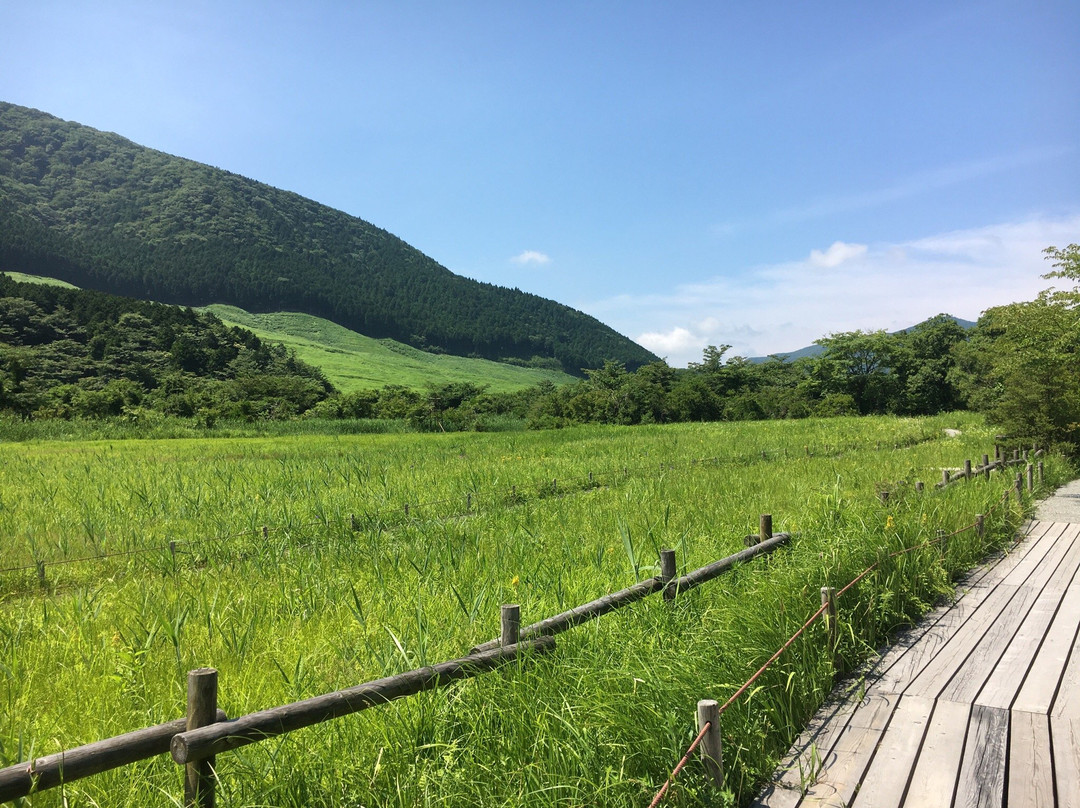 Hakone Shisseikaen-箱根町必去景点