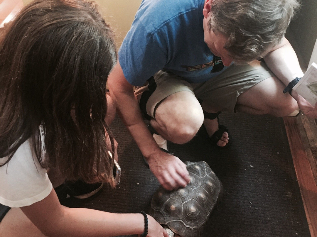 Stamford Museum & Nature Center-斯坦福必去景点