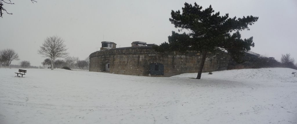 Coalhouse Fort景点图片