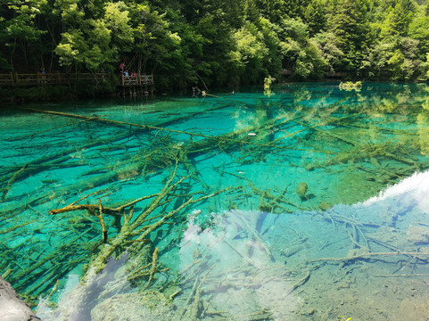 聊城古城-莘县必去景点