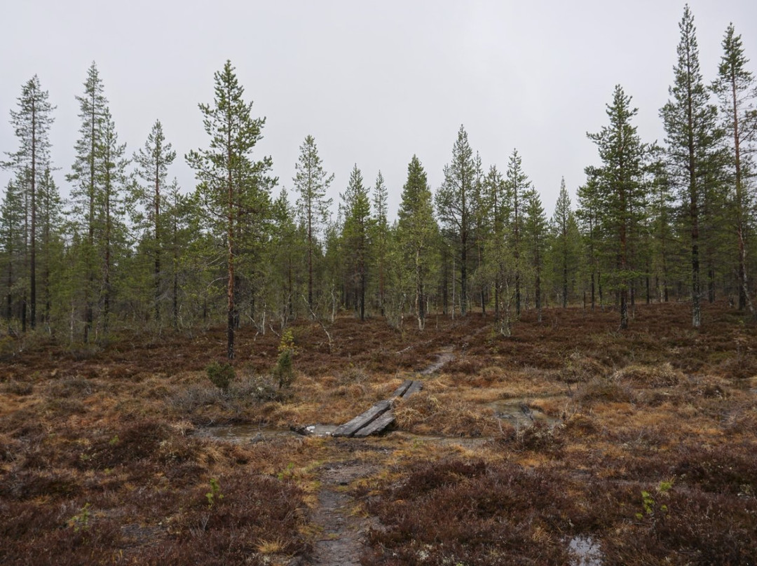 Ruijanpolku Trail-撒利塞卡必去景点