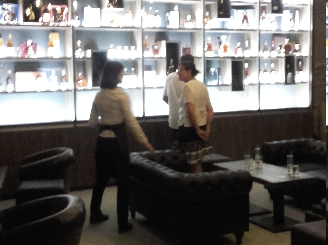 Bar Luciole景点图片