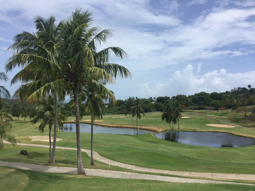 El Conquistador Golf Course-波多黎各必去景点