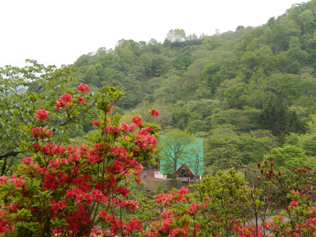 Hiroo Santa Land-广尾町必去景点