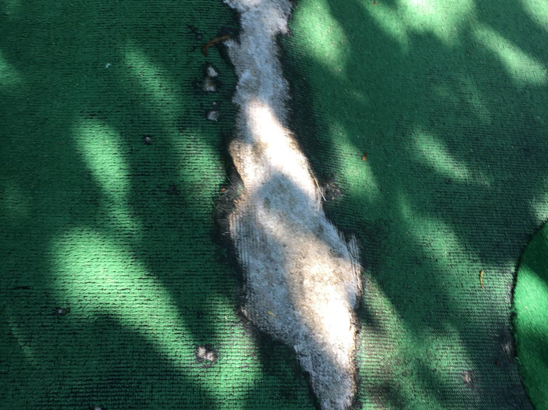 Casey Jones Mini Golf-Jackson必去景点