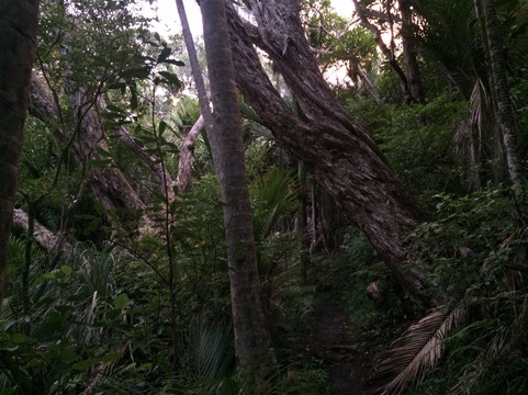 Hillary Trail-怀塔奇尔市必去景点