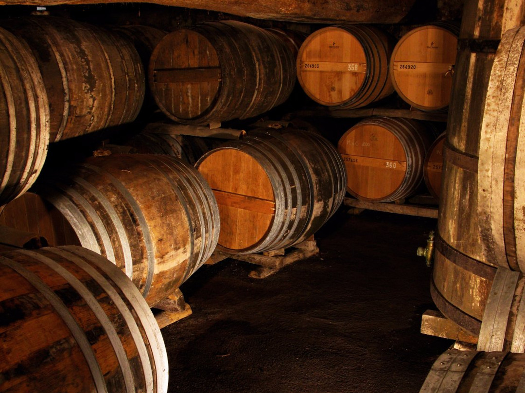 Cognac La Grange du Bois景点图片