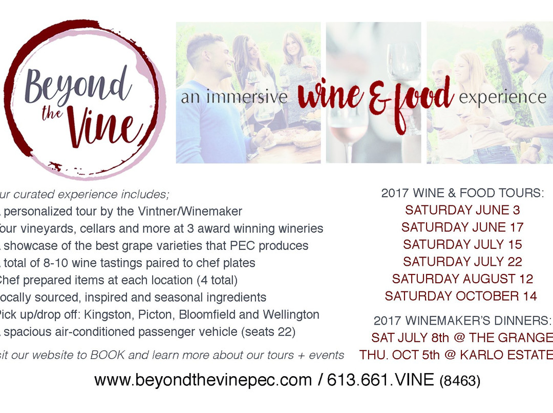 Beyond the Vine景点图片