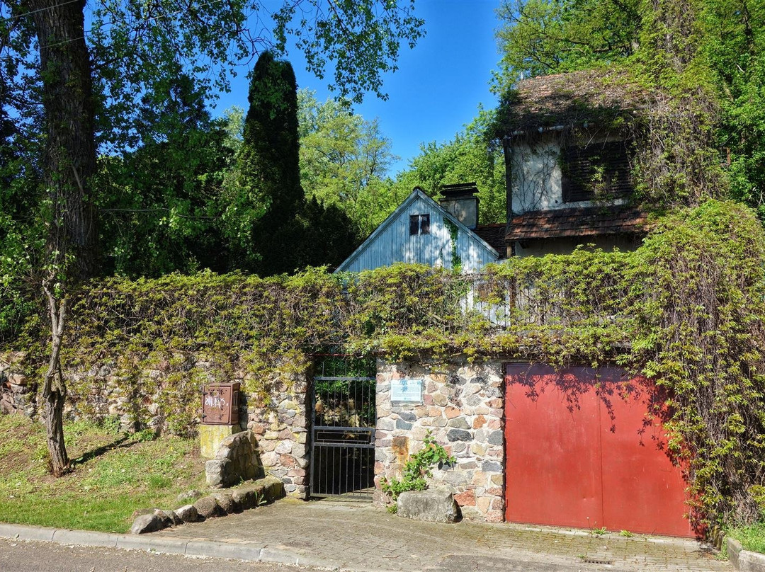 The House of the Syroks-Serock必去景点