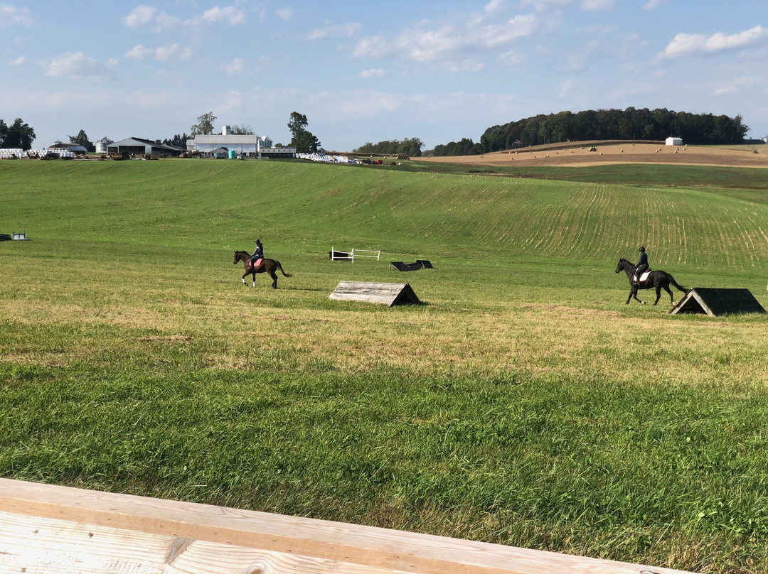 Aopf Stable, Llc
