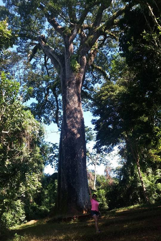 Parque Estadual Vassununga景点图片