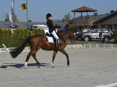 Stable Gostar-Jelenia Gora必去景点