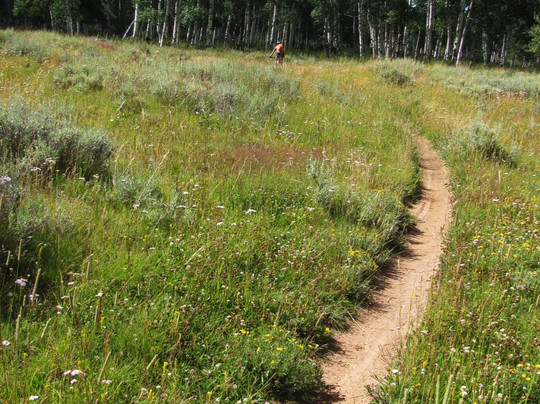 Colorado Backcountry Biker-弗鲁塔必去景点