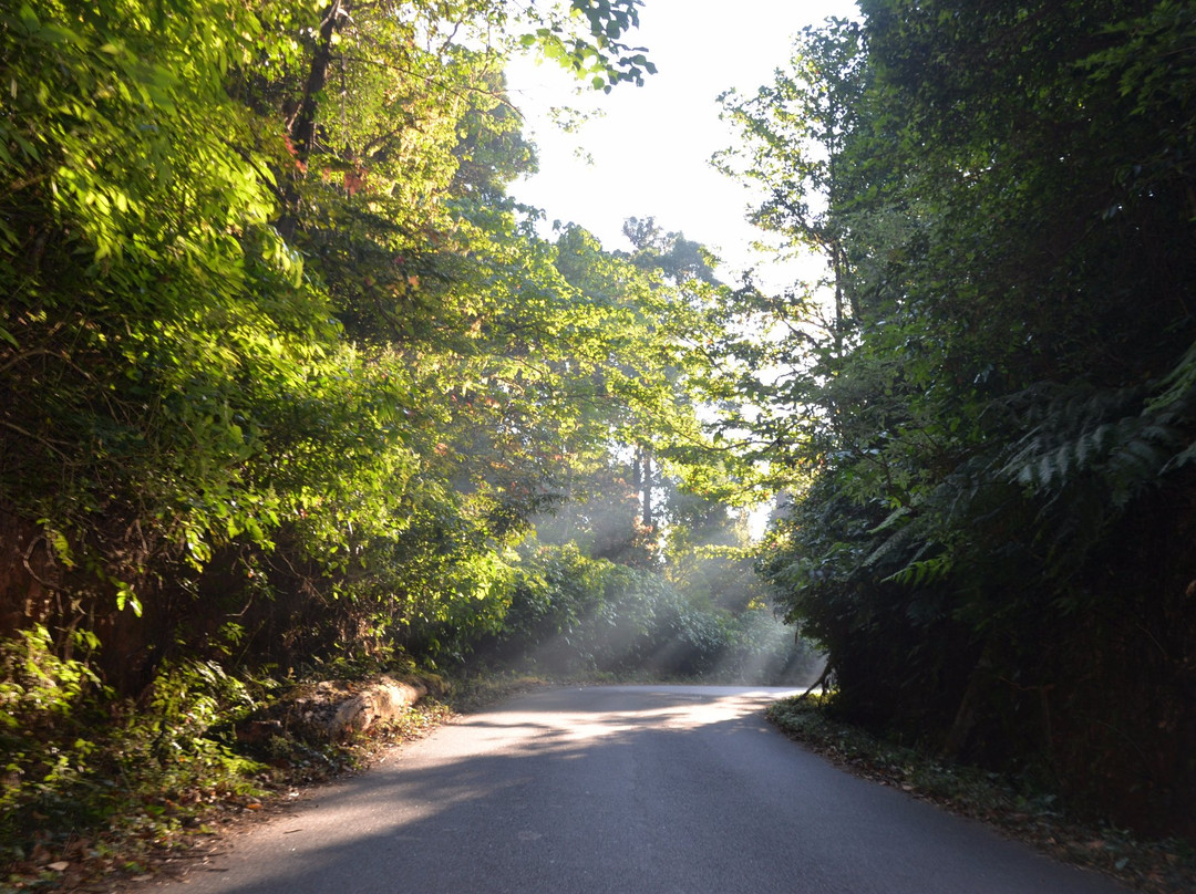 Kudremukh National Park景点图片