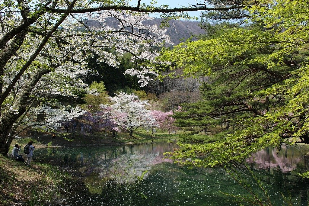 Handayama Natural Park-桑折町必去景点