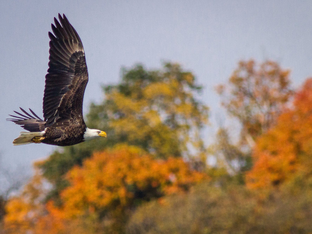 Ohio River Islands National Wildlife Refuge Visitor Center景点图片