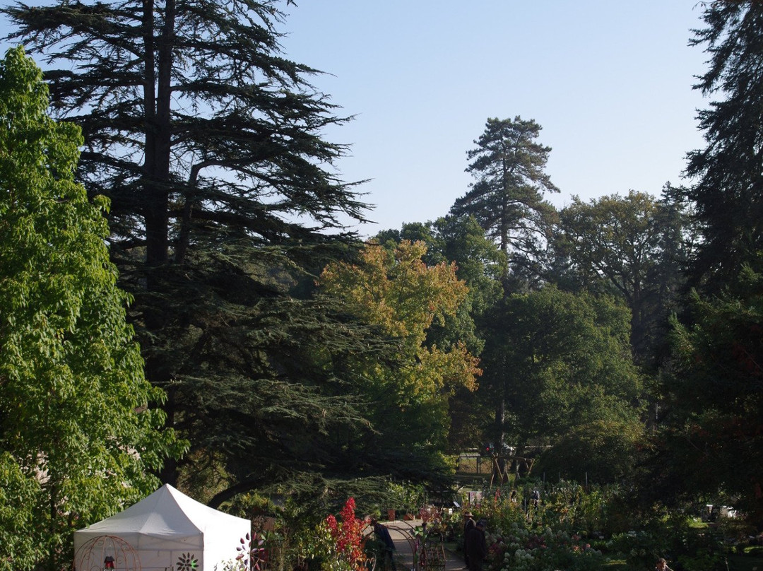 Arboretum National des Barres-Nogent-sur-Vernisson必去景点