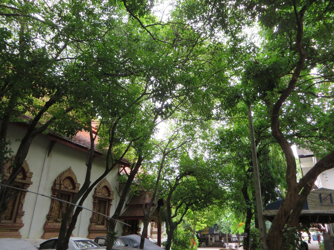Wat Puak Tam-清迈必去景点