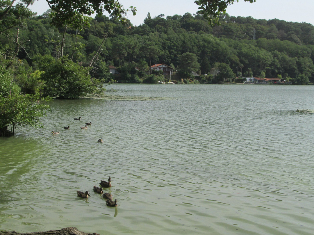 Lac Mouriscot景点图片