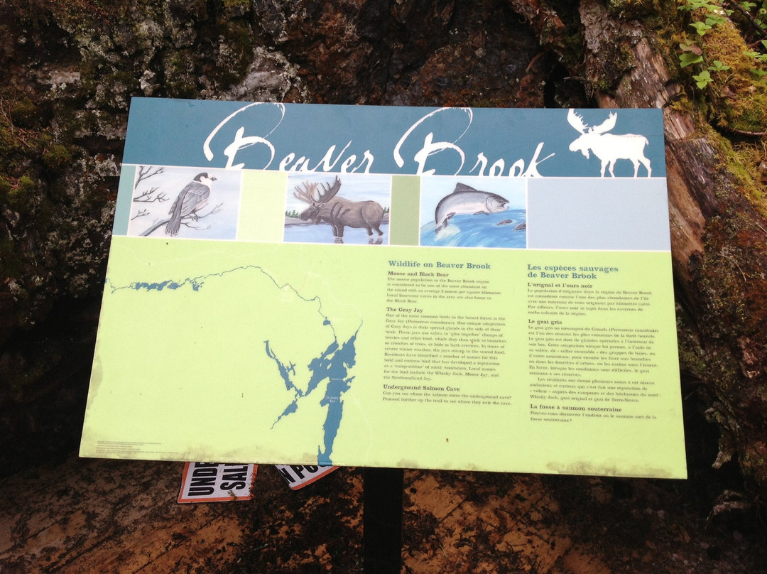 Underground Salmon Pool Trails-Main Brook必去景点