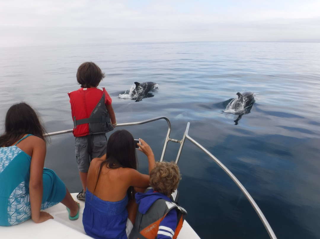 Ludyesfera-塞新布拉必去景点