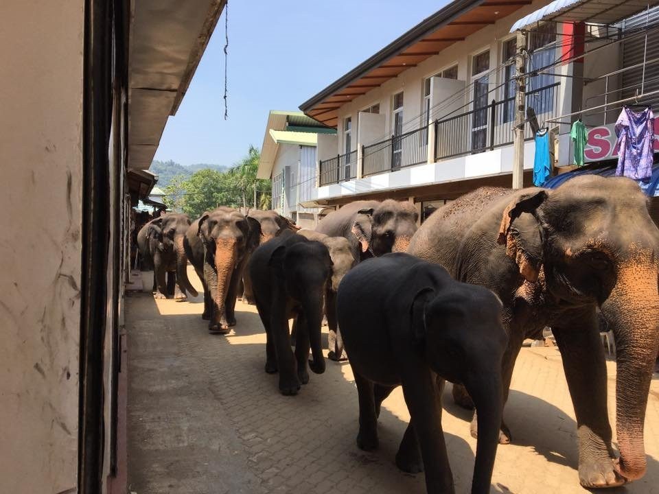 Luv SL-品纳维拉必去景点