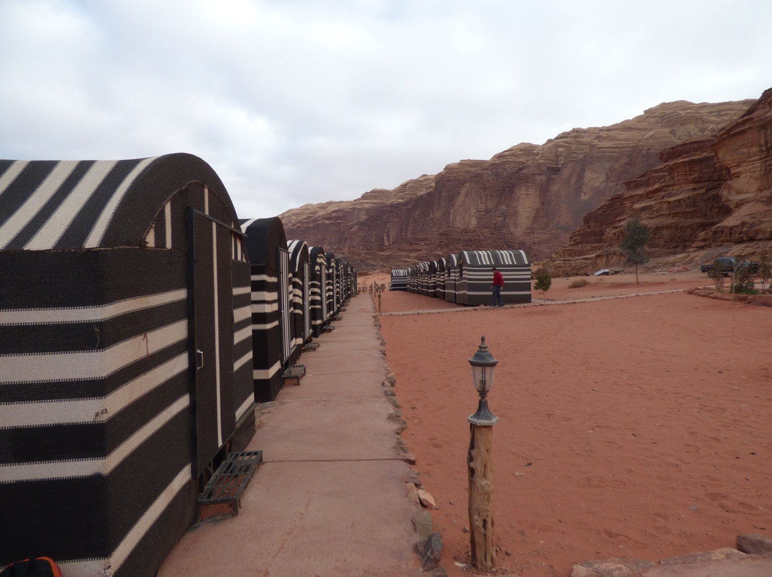 Desert Bird Camp