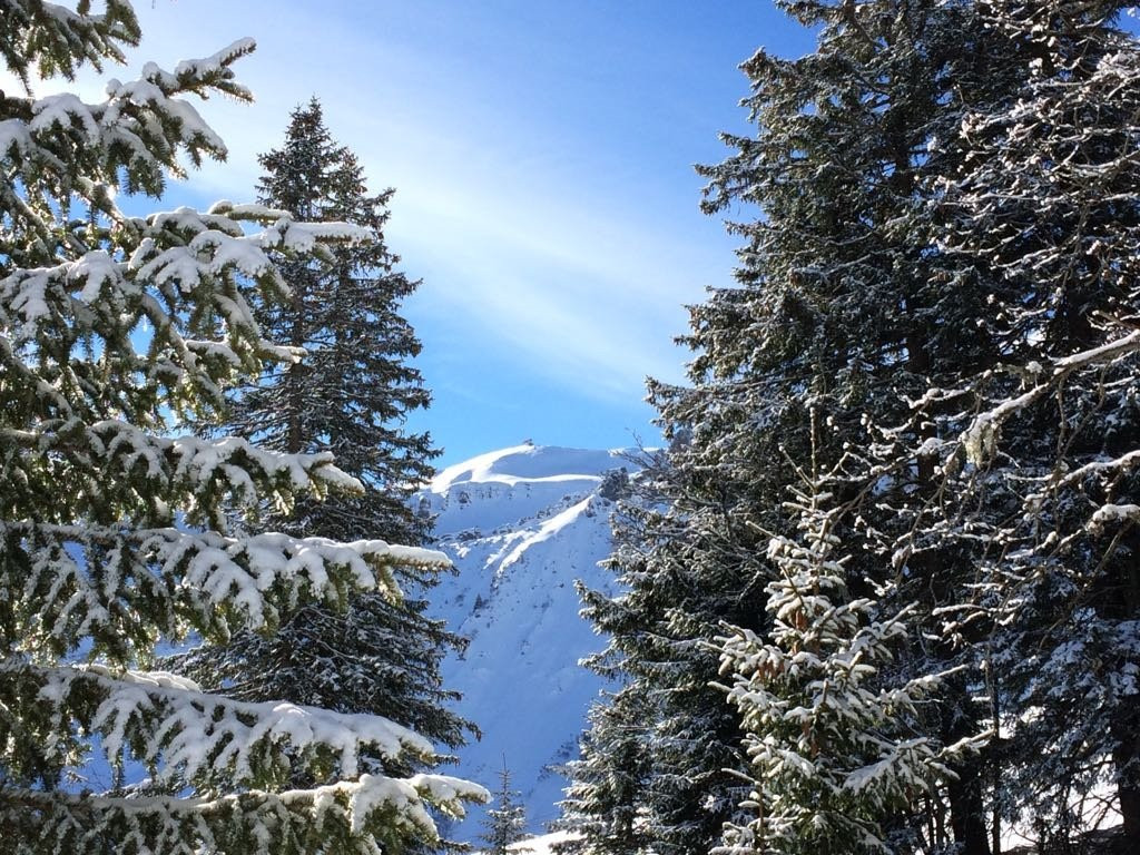 莫荖酒店住宿-Dorfgasthof Adler