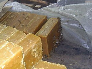 Finca Verde-Vilcabamba必去景点