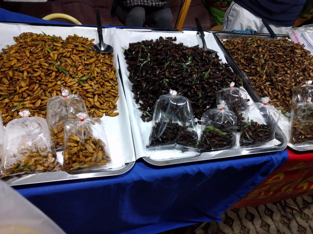 Room Riverside主图