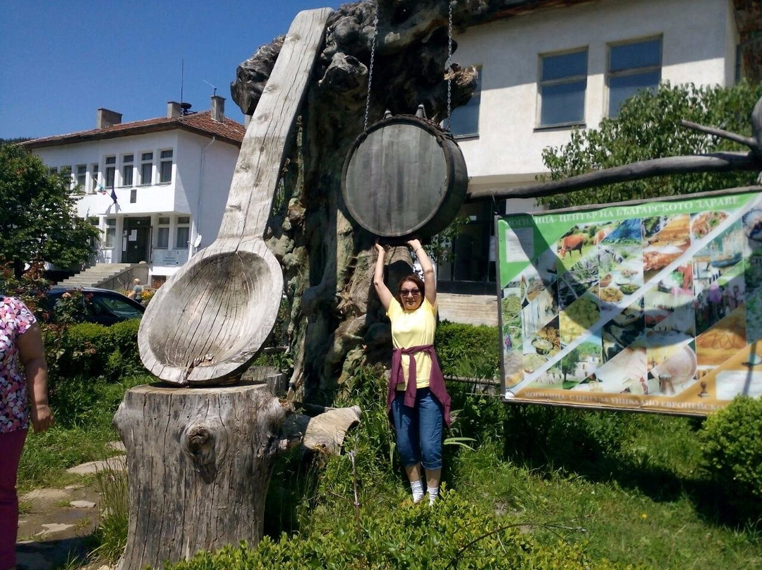 Eco Complex Smilyan