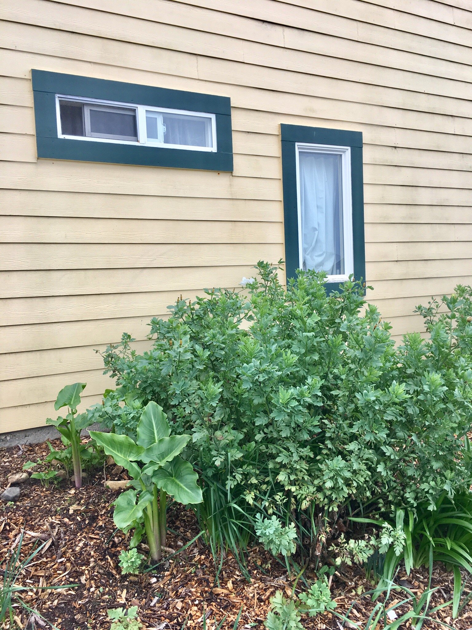 Gualala Country Inn-浴室