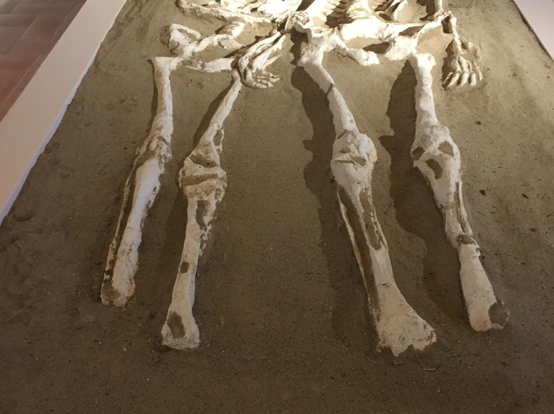 Parco Archeologico di Himera景点图片