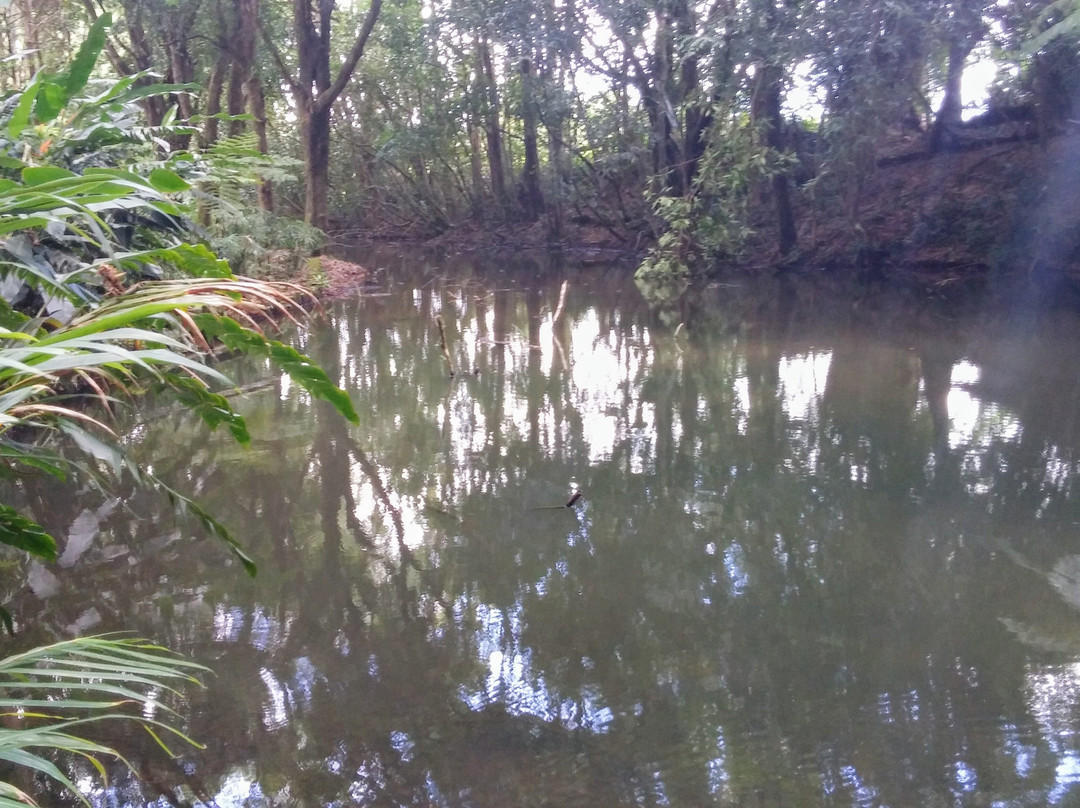 Sophie Nature Walk-Vacoas必去景点