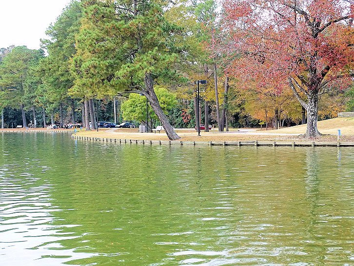 Rocky Mount City Lake and Park景点图片