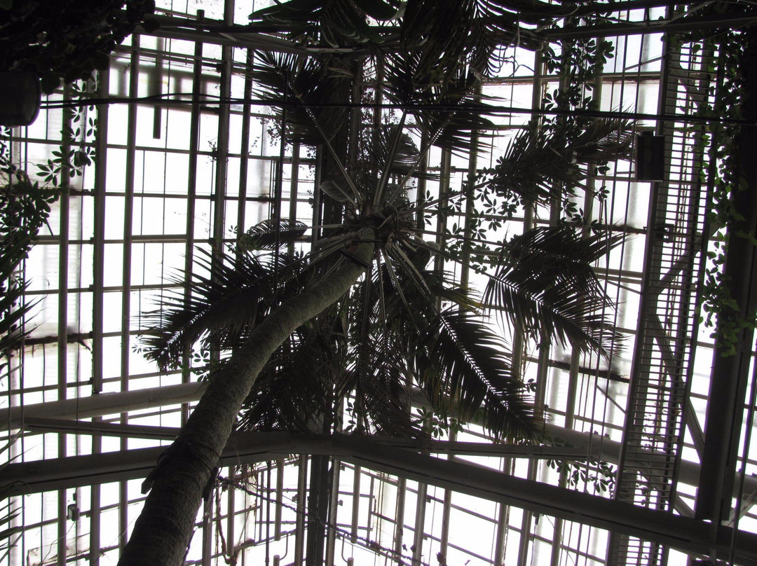 Siberian Botanical Garden景点图片