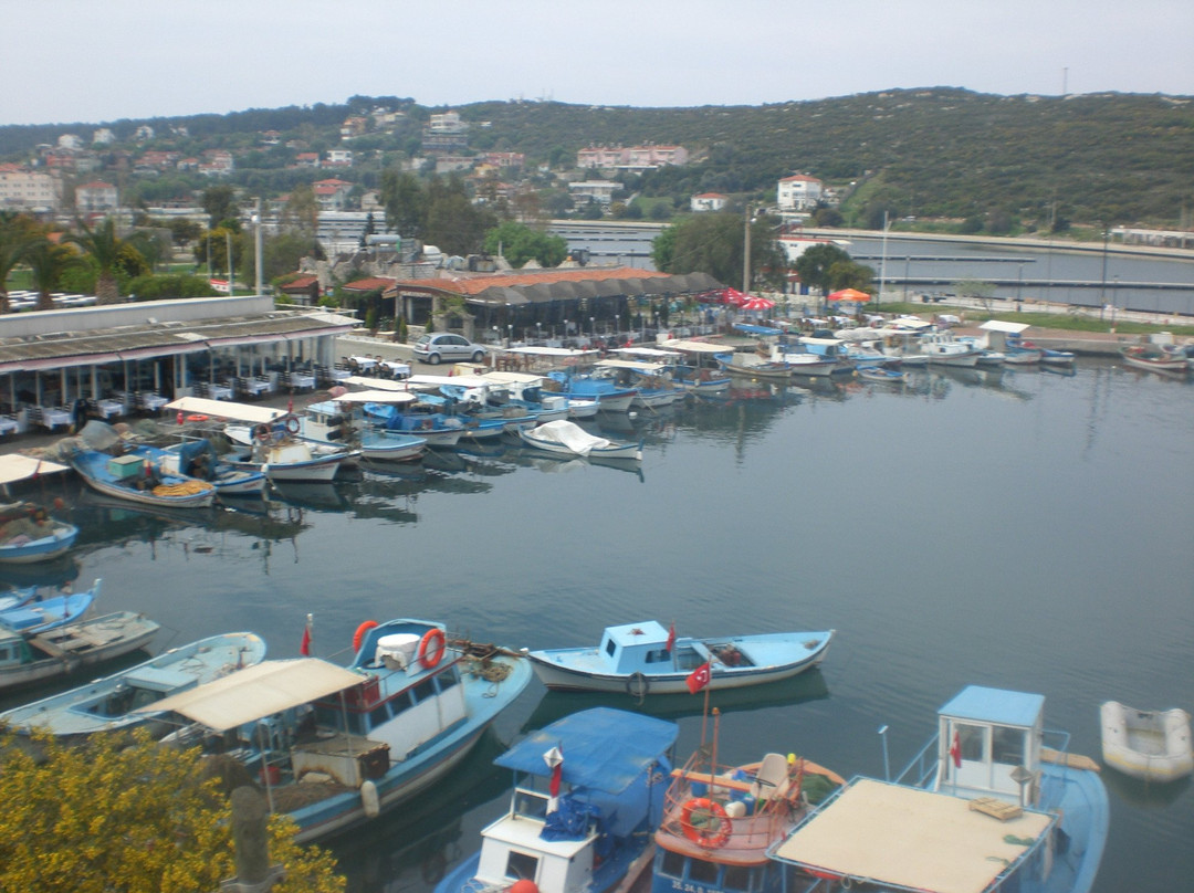 Sıgacık Village Market景点图片