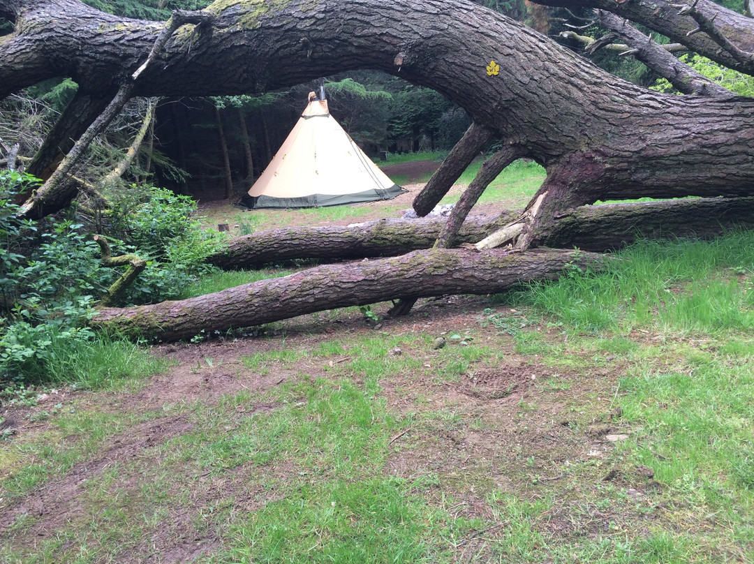 Ashbourne Woods Campground