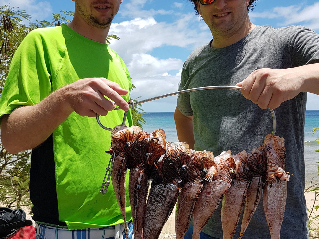 Spearfishing Barbados-巴巴多斯必去景点