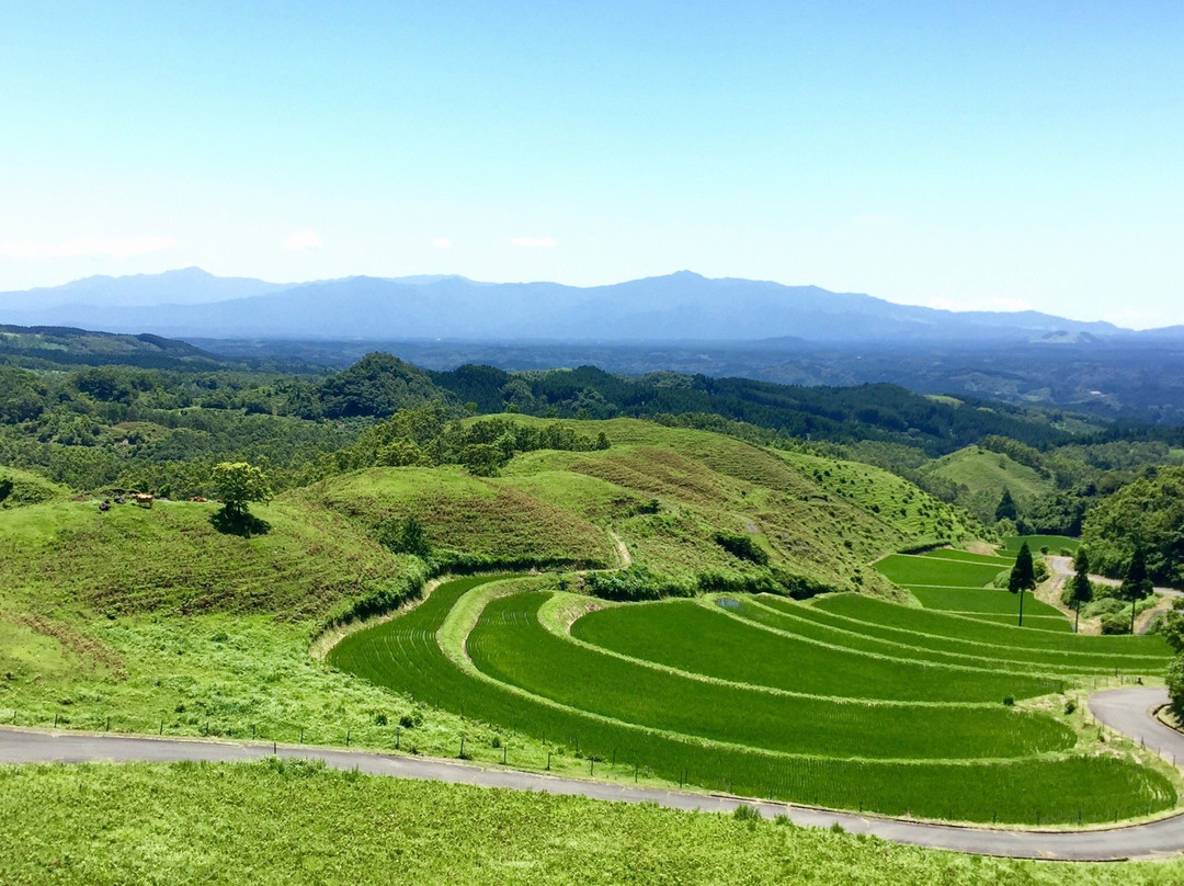 Ogi Rice Terraces景点图片