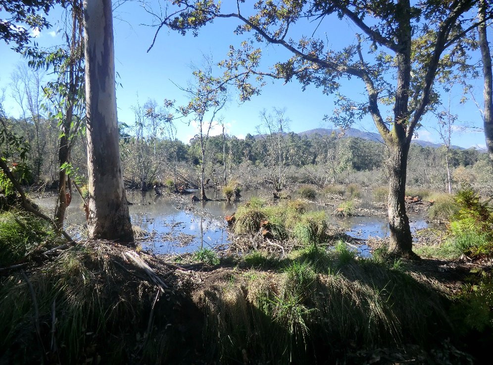 Lagoas de Bertiandos e S. Pedro de Arcos-蓬蒂－迪利马必去景点