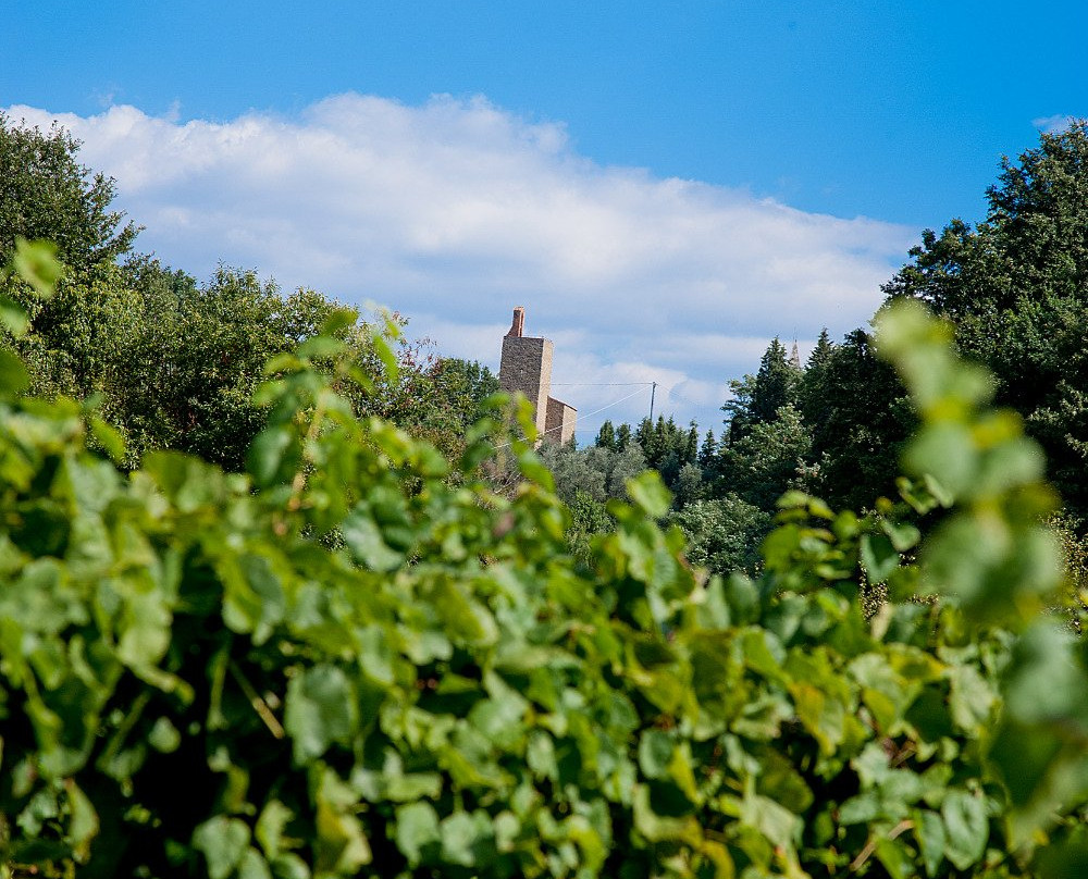 Leonardo Bed & Breakfast主图