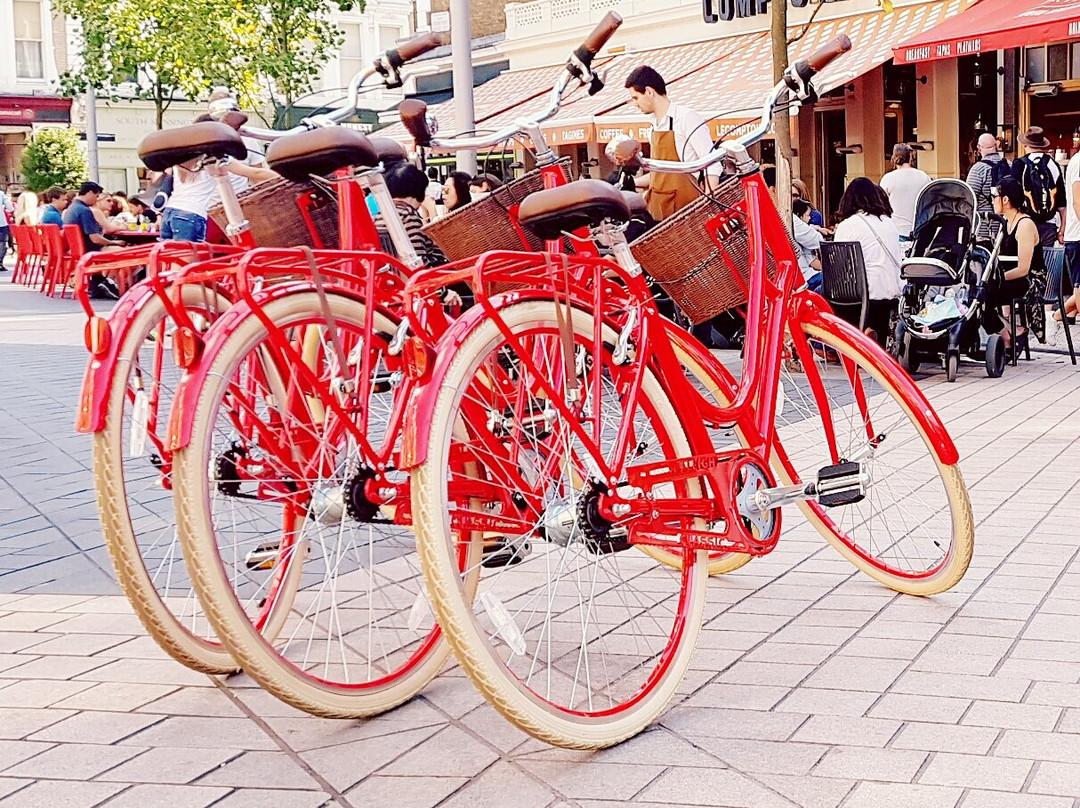 Red Bike Tours Limited景点图片