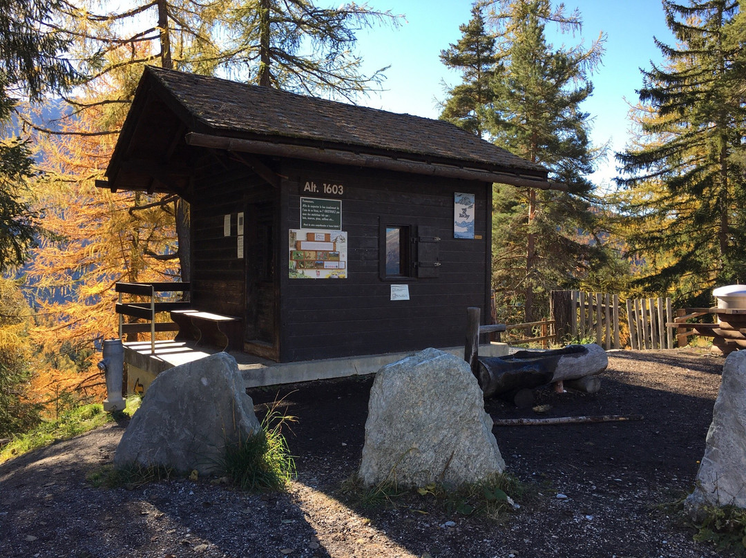 Grand Bisse de Vercorin-Vercorin必去景点