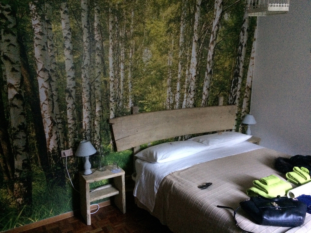 B&B La Betulla主图