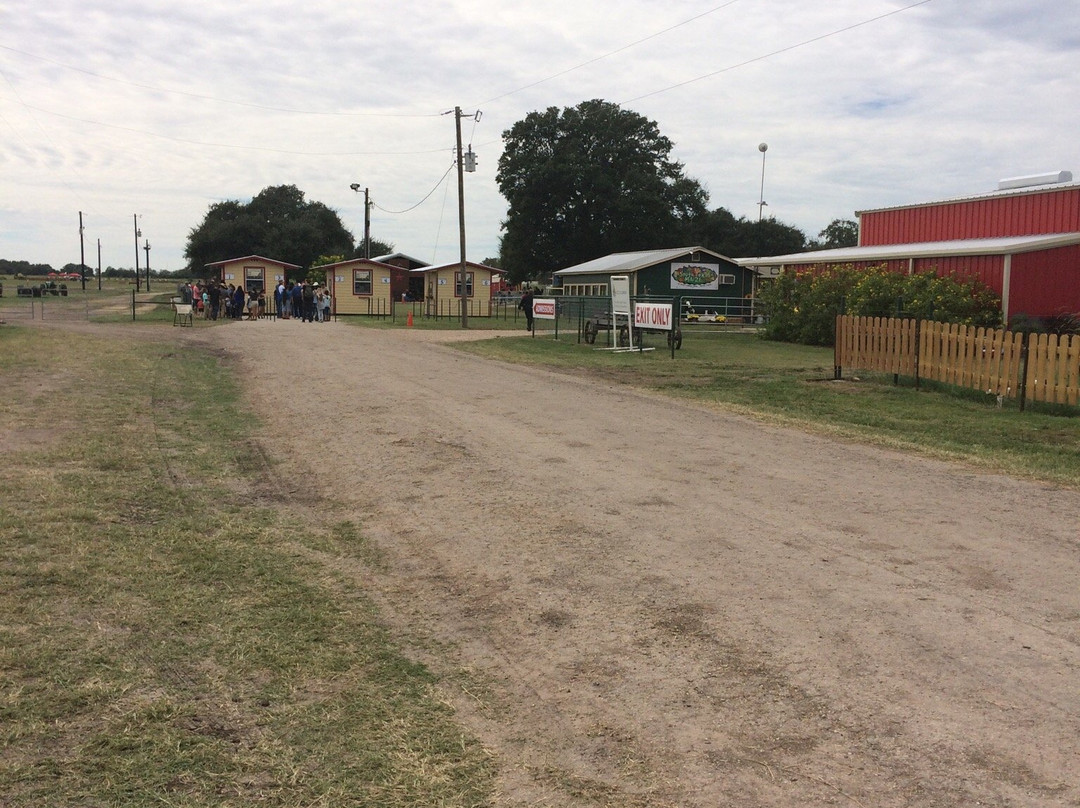 South Texas Maize-Hondo必去景点