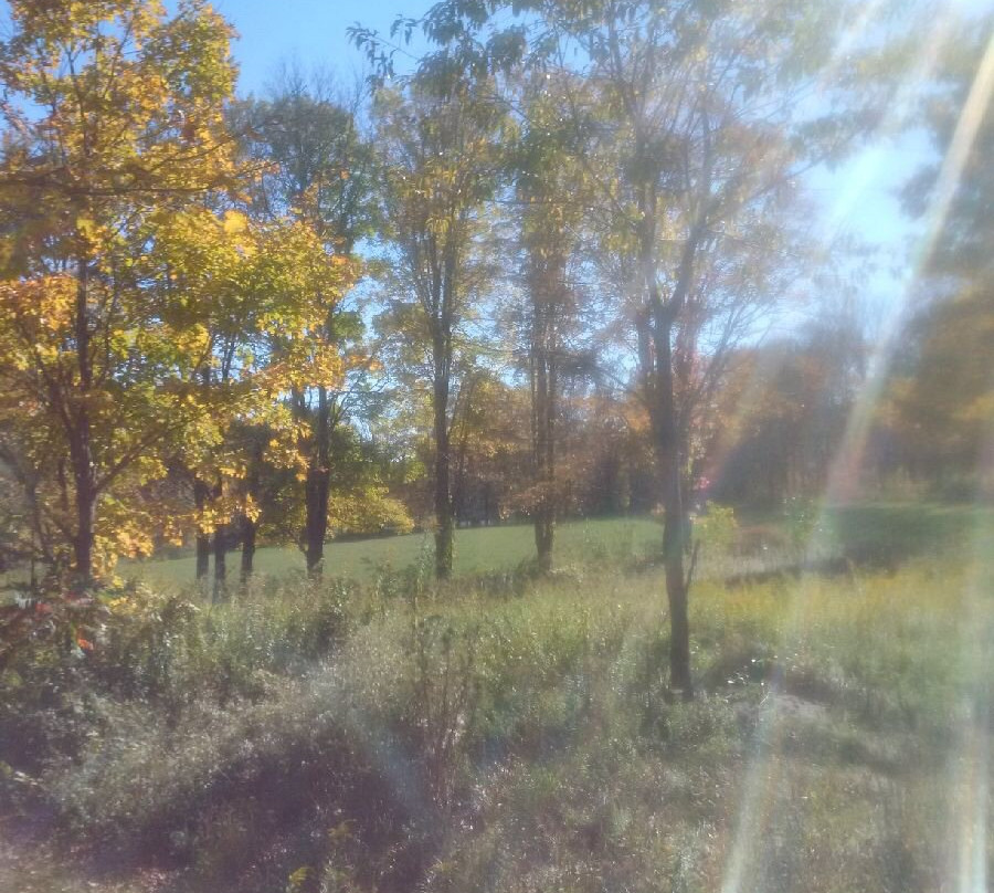 The Milestone Inn主图