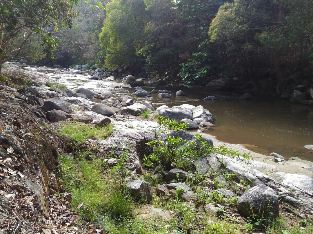 Lentang Forest Recretional Park-文冬必去景点