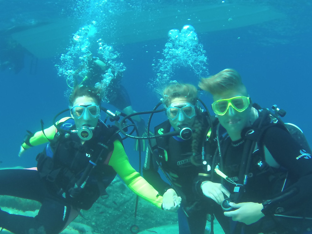 Deep Blue Diving College-Isola del Giglio必去景点